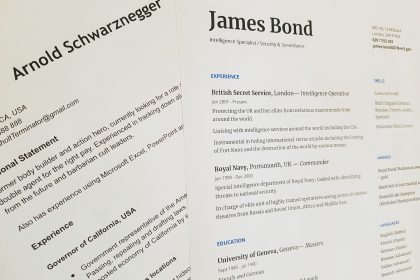 executive CEO-Level cv